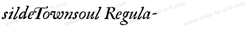 sildeTownsoul Regula字体转换